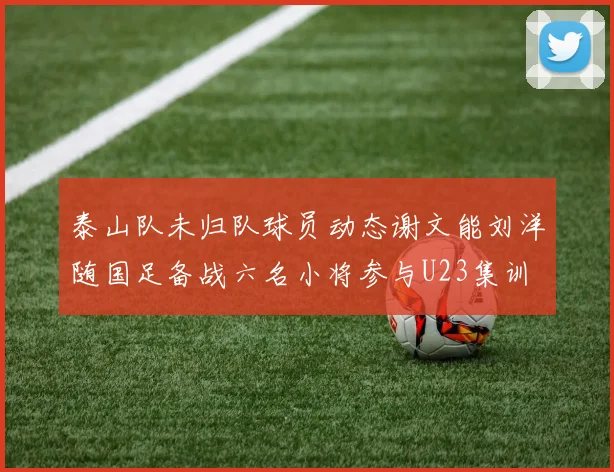 泰山队未归队球员动态谢文能刘洋随国足备战六名小将参与U23集训