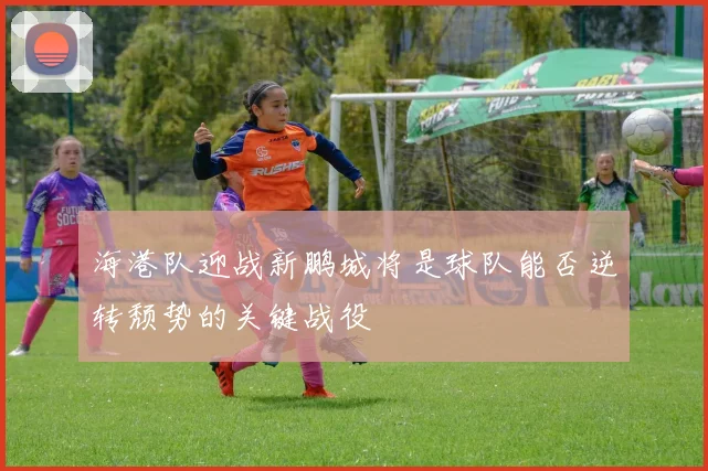 海港队迎战新鹏城将是球队能否逆转颓势的关键战役