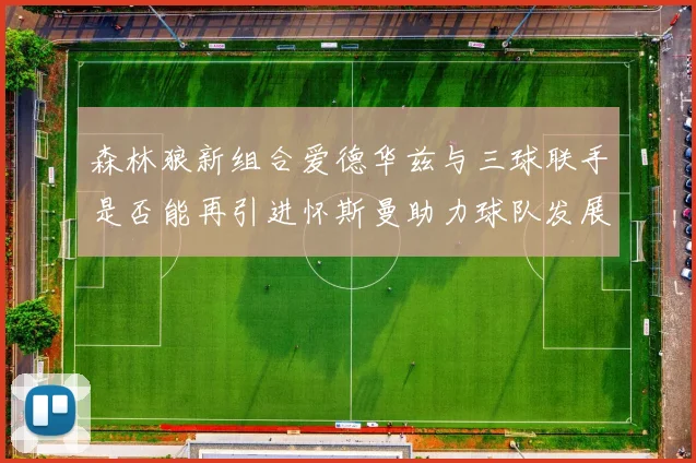 森林狼新组合爱德华兹与三球联手是否能再引进怀斯曼助力球队发展