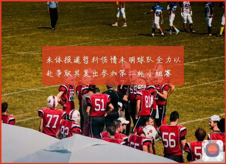 米体报道哲科伤情未明球队全力以赴争取其复出参加第二轮小组赛