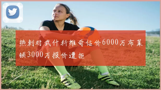 热刺对武什科维奇估价6000万布莱顿3000万报价遭拒